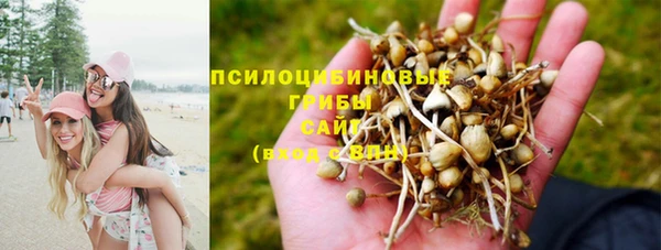 гидропоника Анива